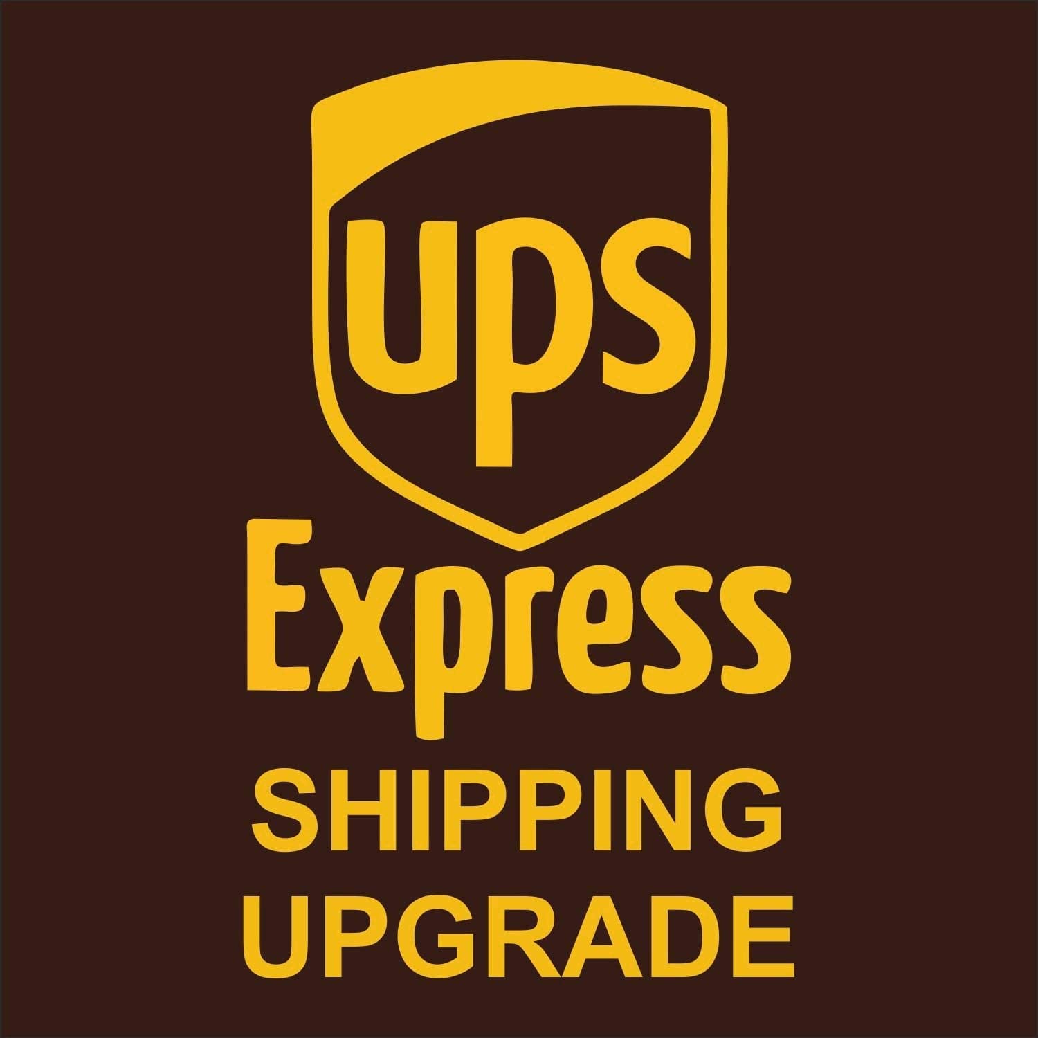 UPS Express 